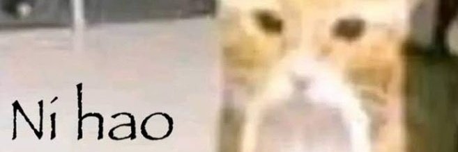 MasterCheese🗿 banner