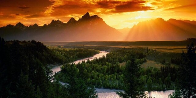 NABIL AWAD TADROS banner