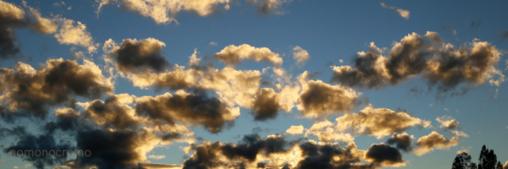 CEDAT_'s profile banner image