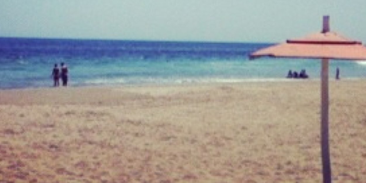 Niko Ratonovic banner