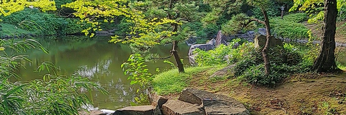 まーちゃん banner