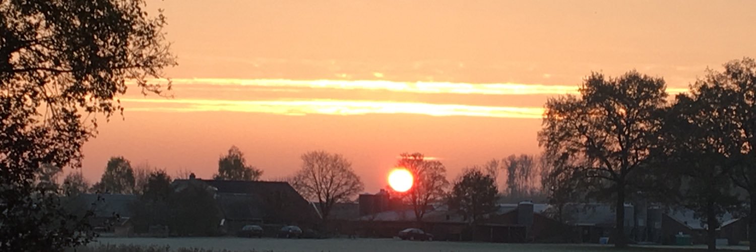 DiannesTweets's profile banner image
