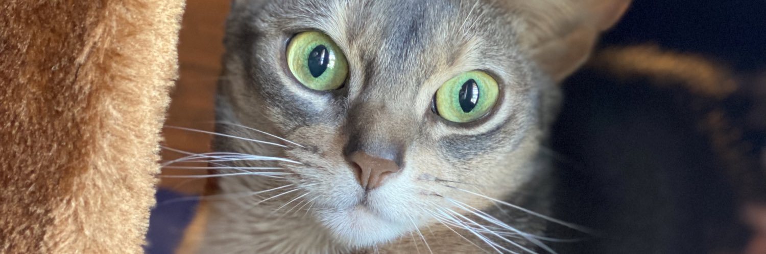 EddieStarr's profile banner image