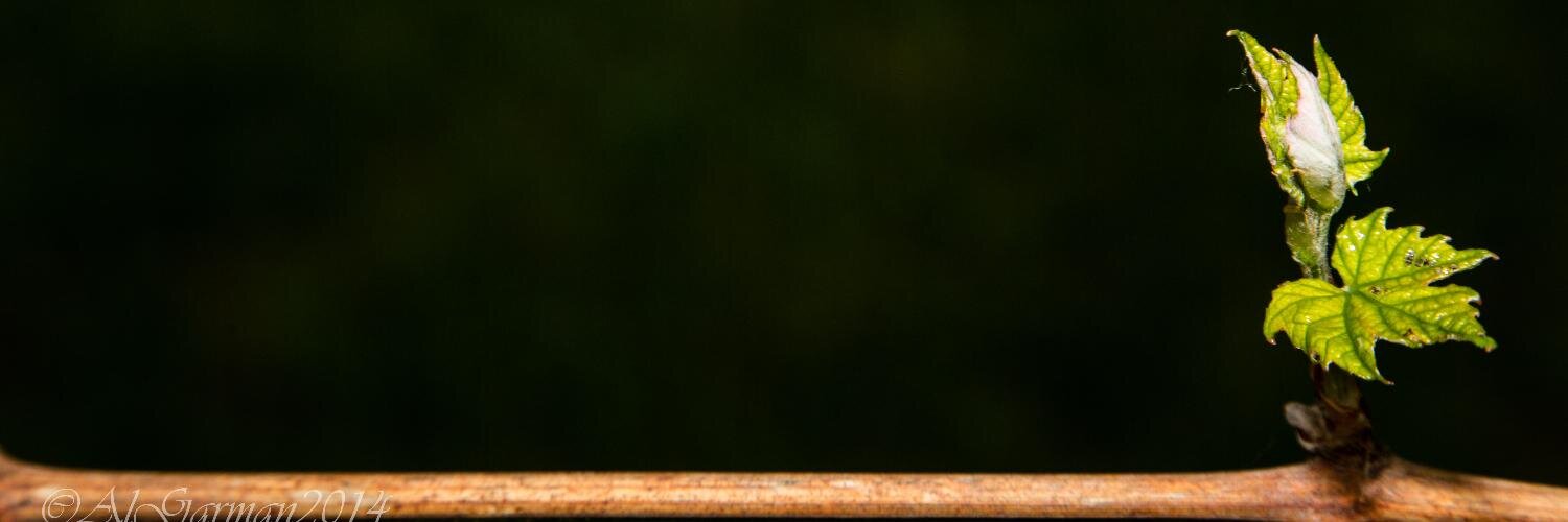 AlGarman's profile banner image