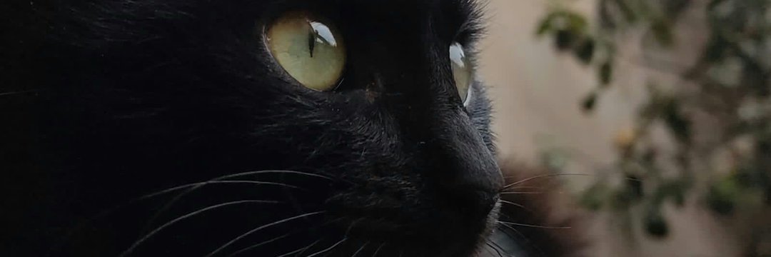 MarleideChilhen's profile banner image