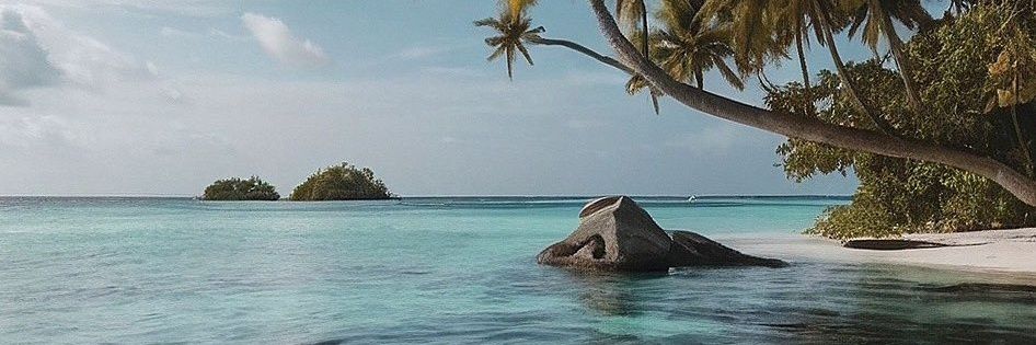 EckoPorn's profile banner image