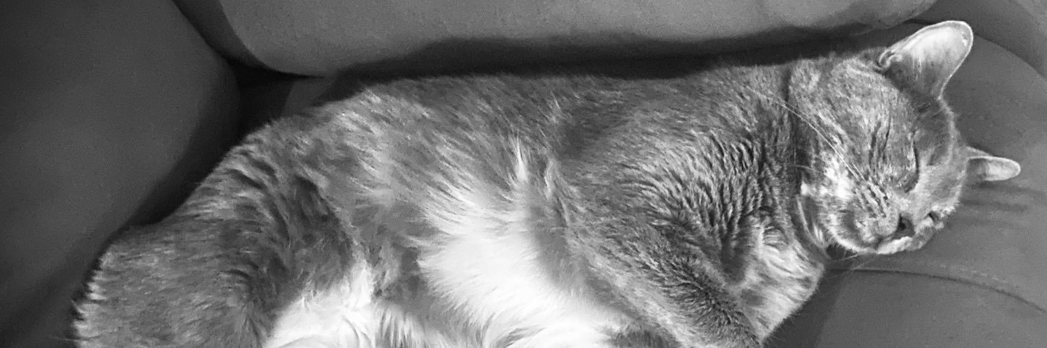 Torties Rule banner