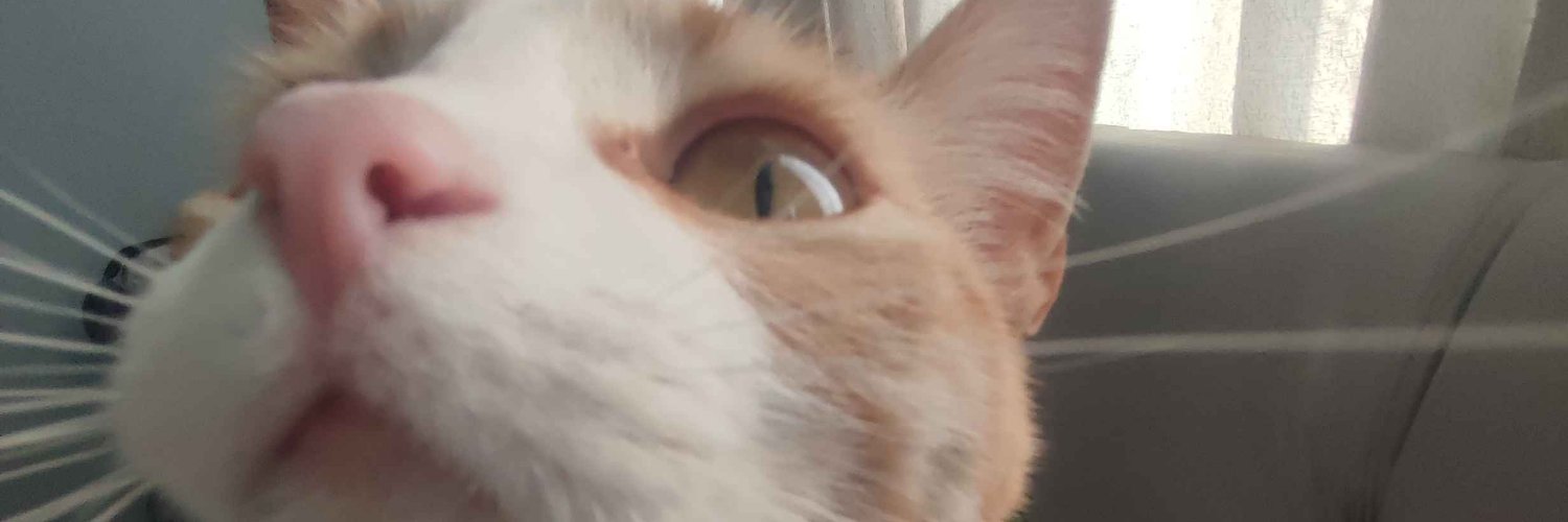 CorvineMeys 🦖 banner