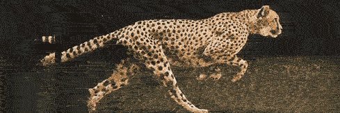 aydasaint's profile banner image