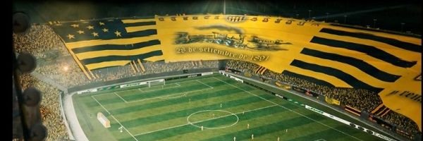 Diego Volpe banner