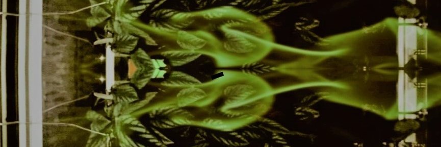 RyanAve422's profile banner image