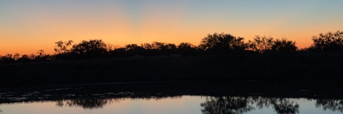 katylafavs's profile banner image