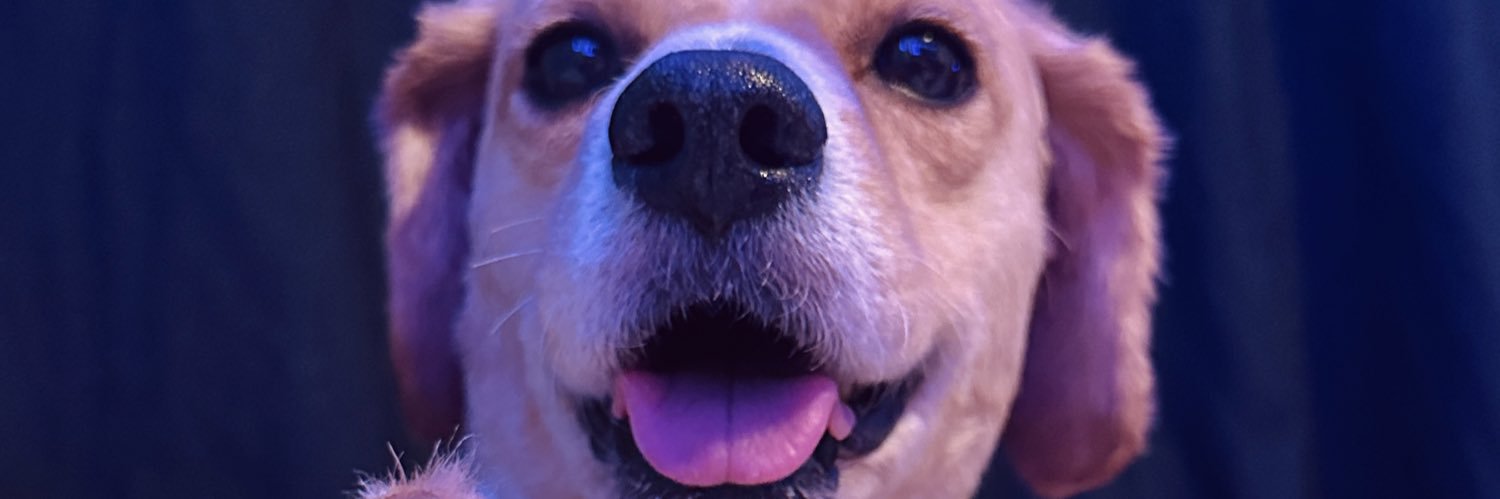 Gabriela González banner