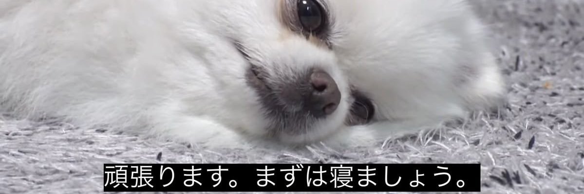 AgQn4's profile banner image