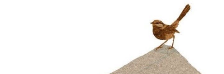 natsklg's profile banner image