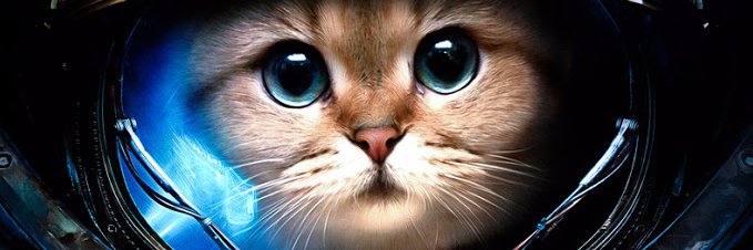 global_roaming's profile banner image
