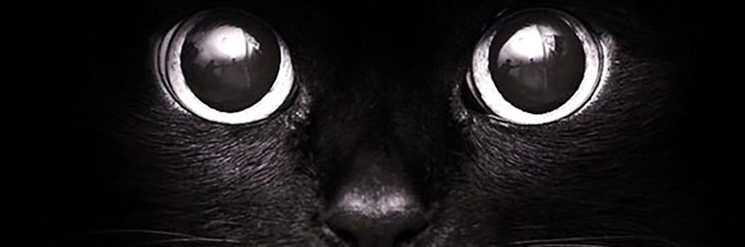 atv_91's profile banner image