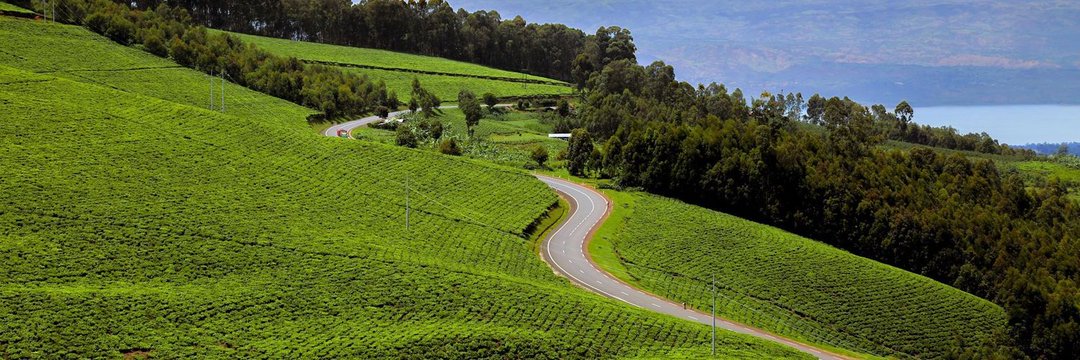 The Punisher Team PK banner