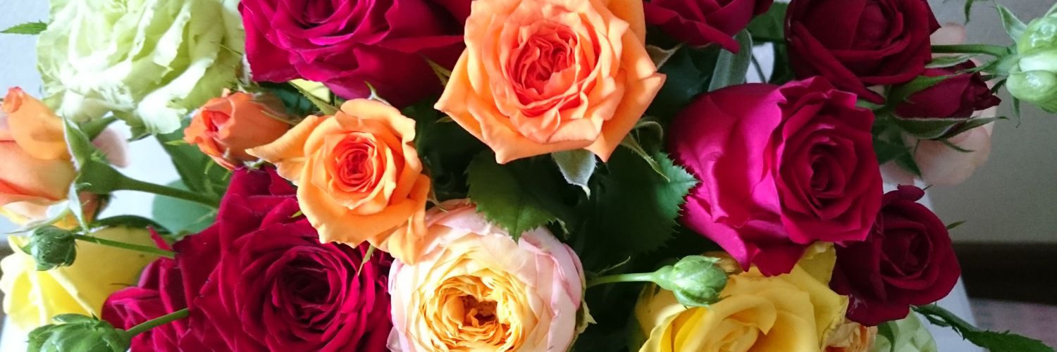 pleasure247's profile banner image