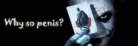 why so penis? banner
