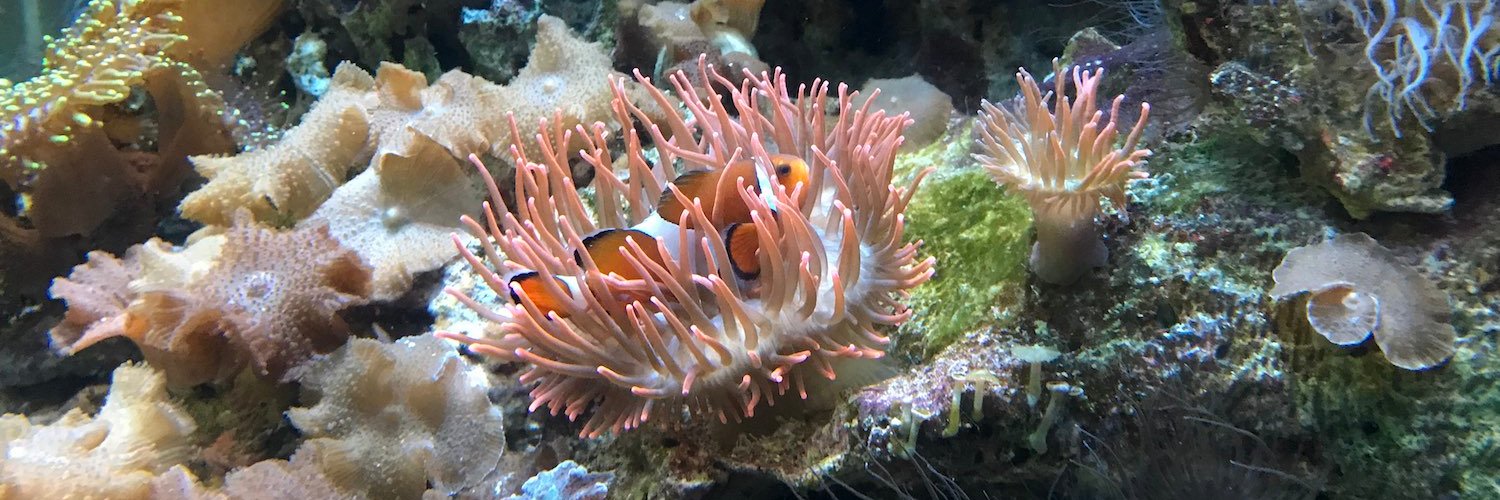 Julian Joswig banner