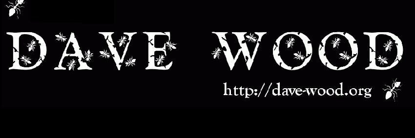Dave Wood 🐜 banner