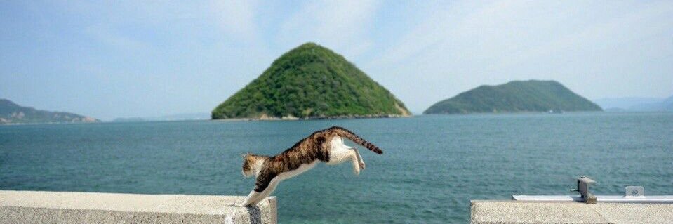 evil ci ‎(⩌⌓⩌) banner