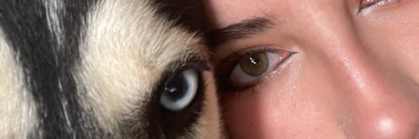 https_apricot Profile Banner