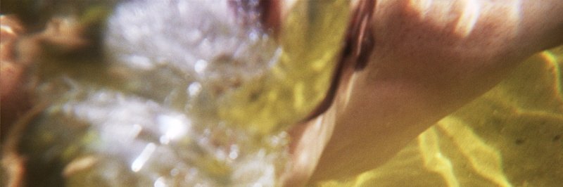 MitchellDill's profile banner image