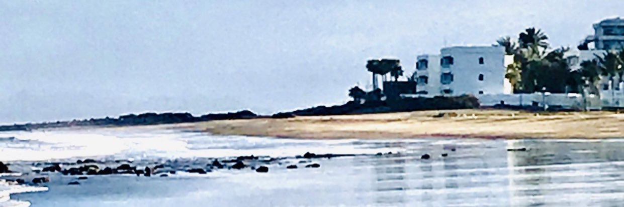 Pauline Upton banner