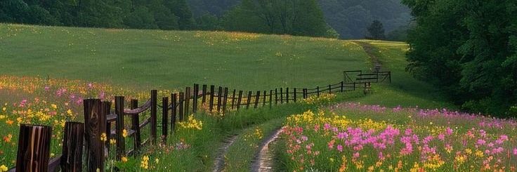 𝖍𝖔𝖕𝖊 banner