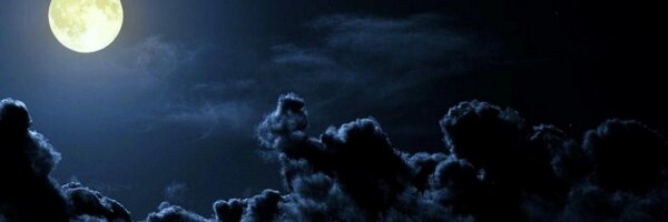 MarioBarbatti Profile Banner