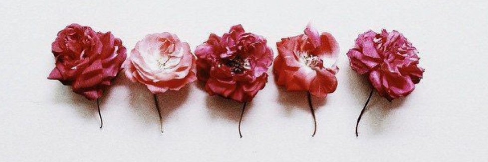 AndreaaMills's profile banner image