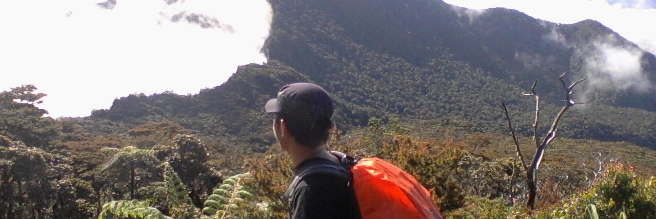 kattoes_rf's profile banner image