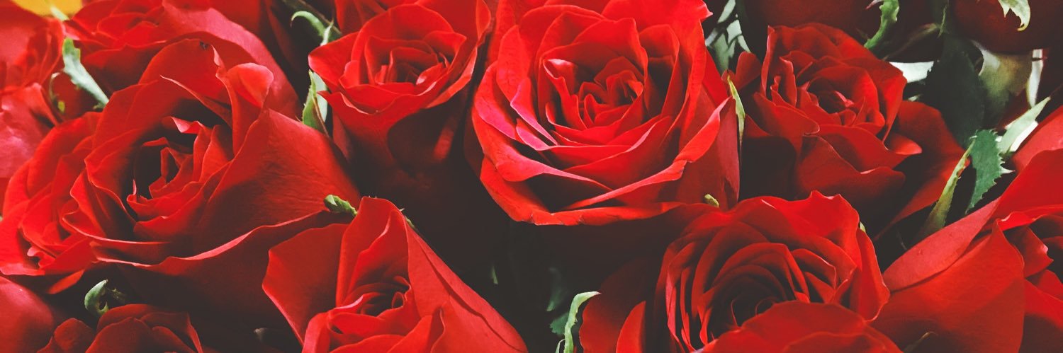 ayk_617's profile banner image