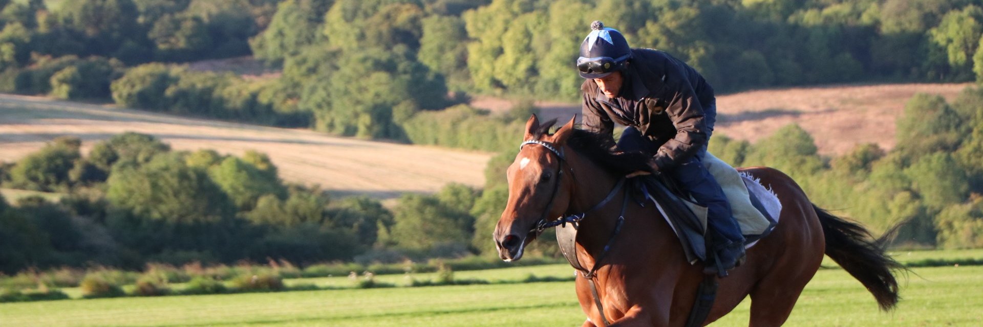 Epsom Gallops (@Epsomgallops) / Posts / X