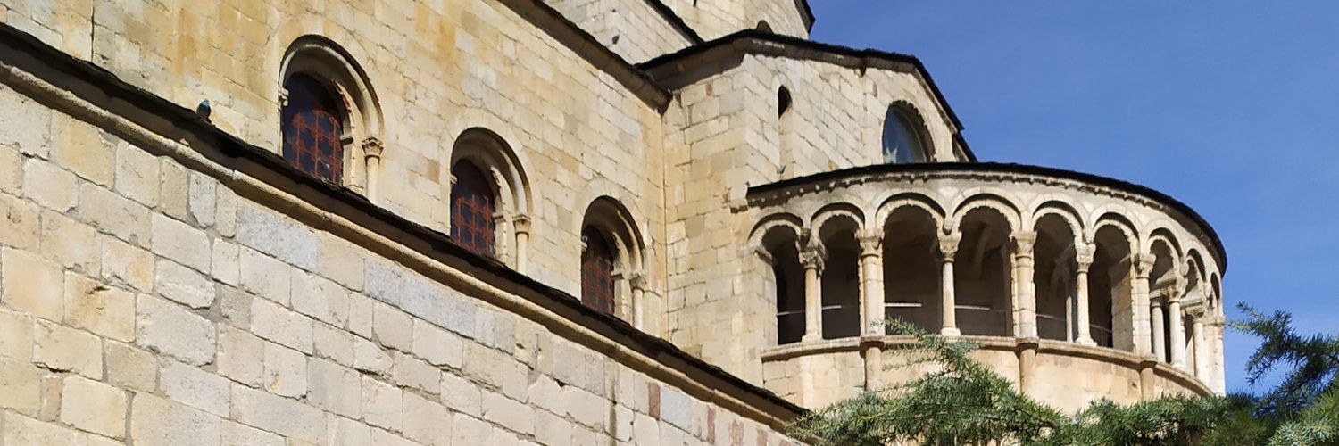 Xavier Serra Besalú banner