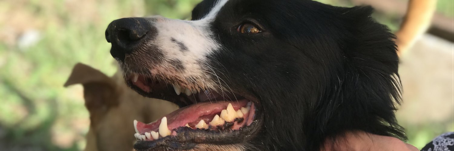 AlexBallesterOk's profile banner image