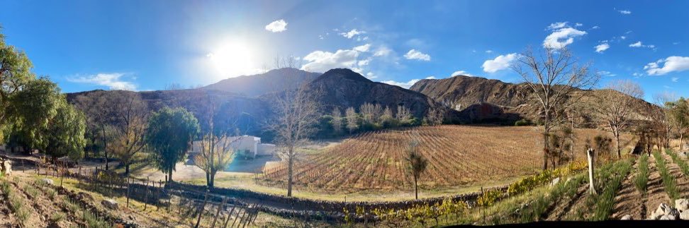 Lucas Glerean banner