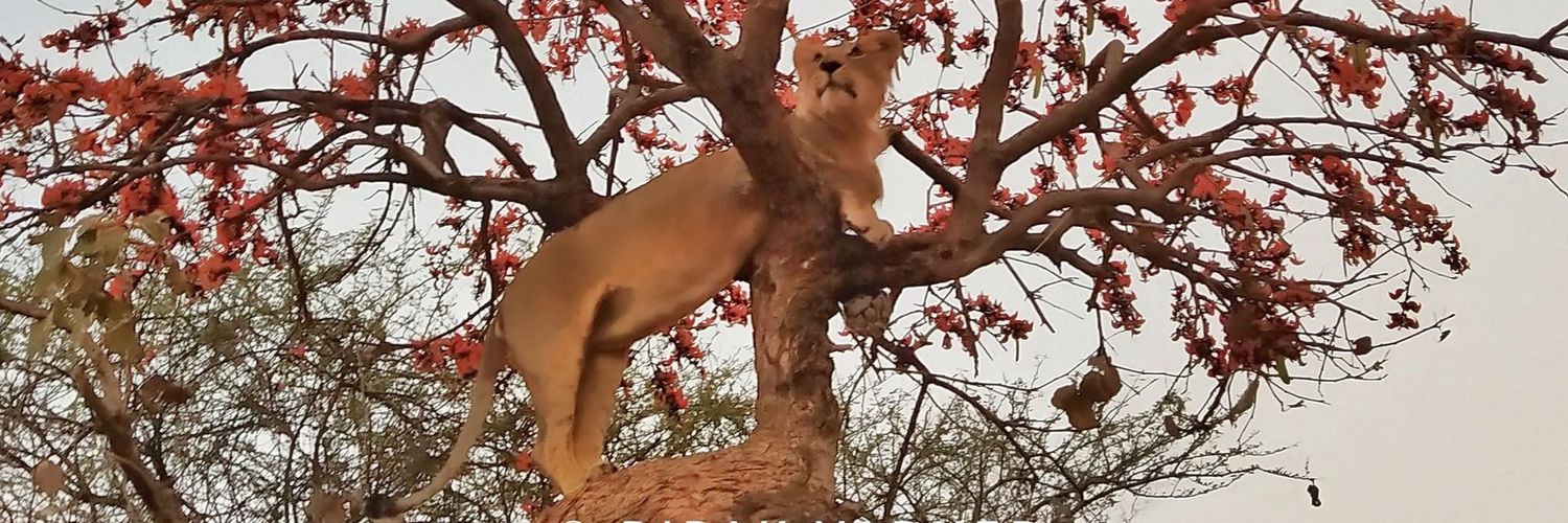 vikram sharma banner