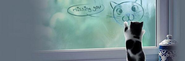 pecocat1's profile banner image