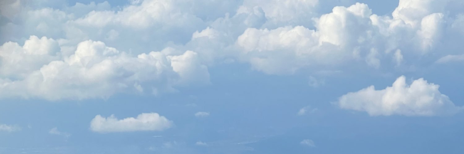 きゃん banner
