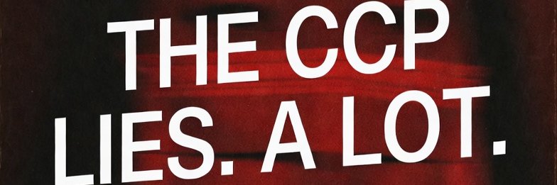 RealChinaLens banner