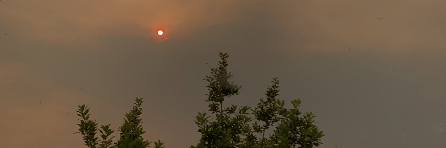 _lyprivatte_'s profile banner image
