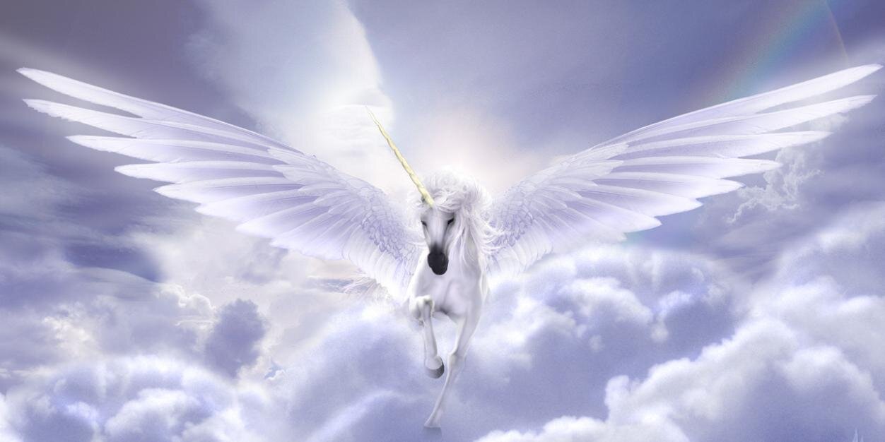 Aylaaisik's profile banner image