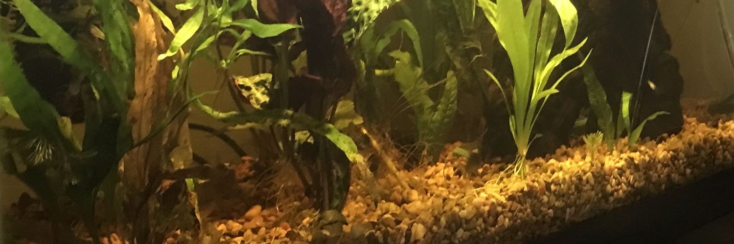 theonebelow64's profile banner image