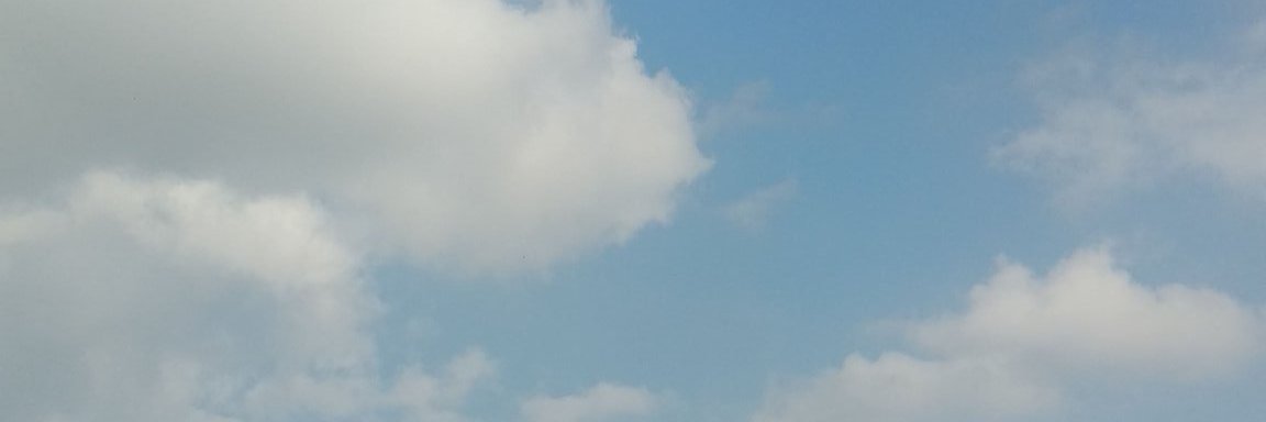 Johnny McJohnface banner