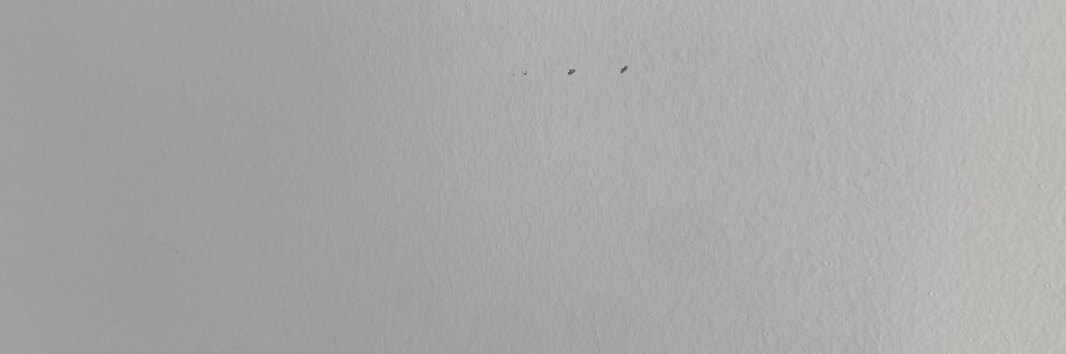 monicamayaa's profile banner image