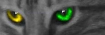 NetocostaC's profile banner image