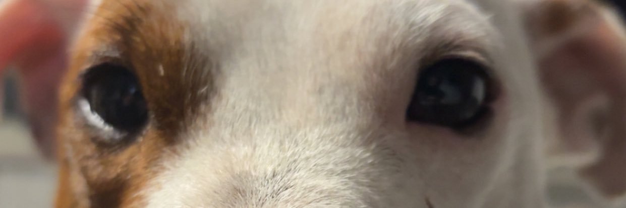 mathmrttw's profile banner image